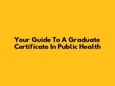 Your Guide To A Graduate Certificate In Public Health